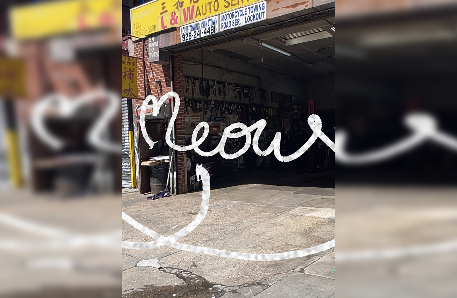 longARcat App gallery image