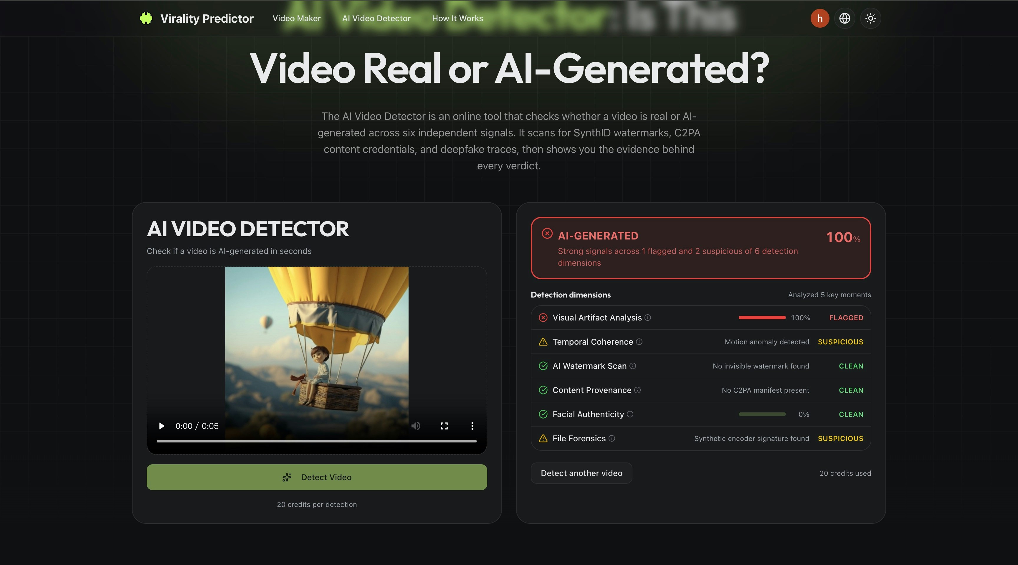 AI Video Detector gallery image