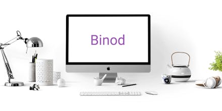 Binod Bot gallery image