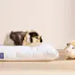 Casper Nap Pillow