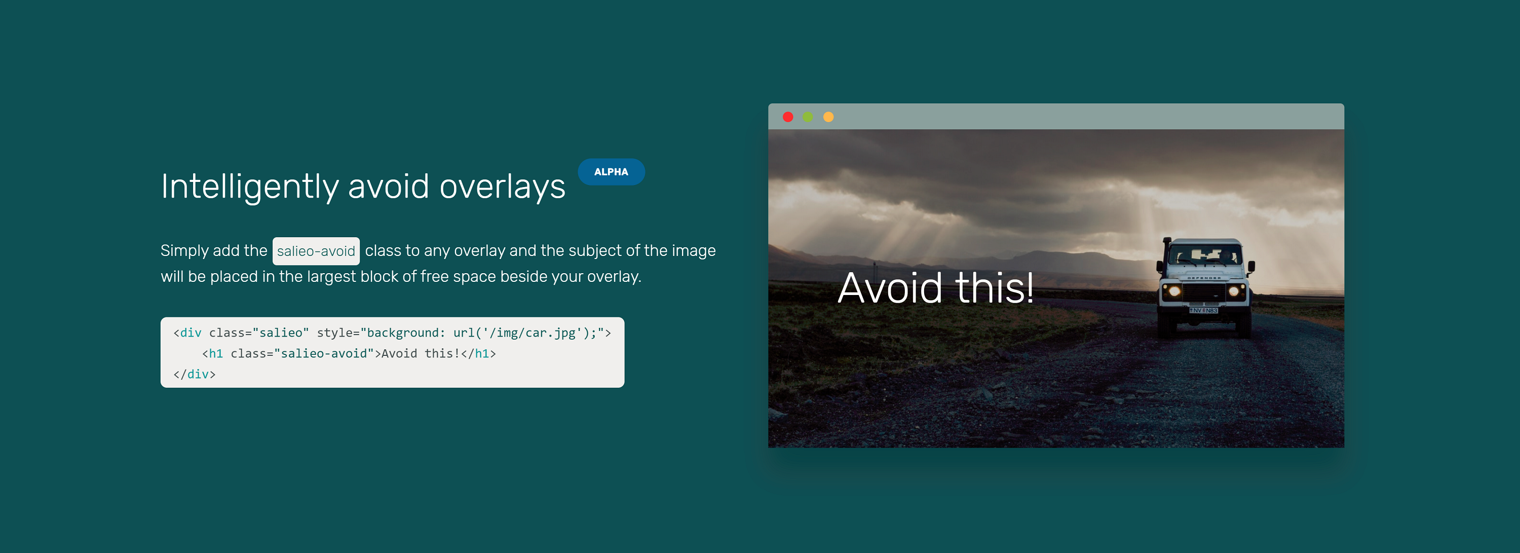 Salieo gallery image