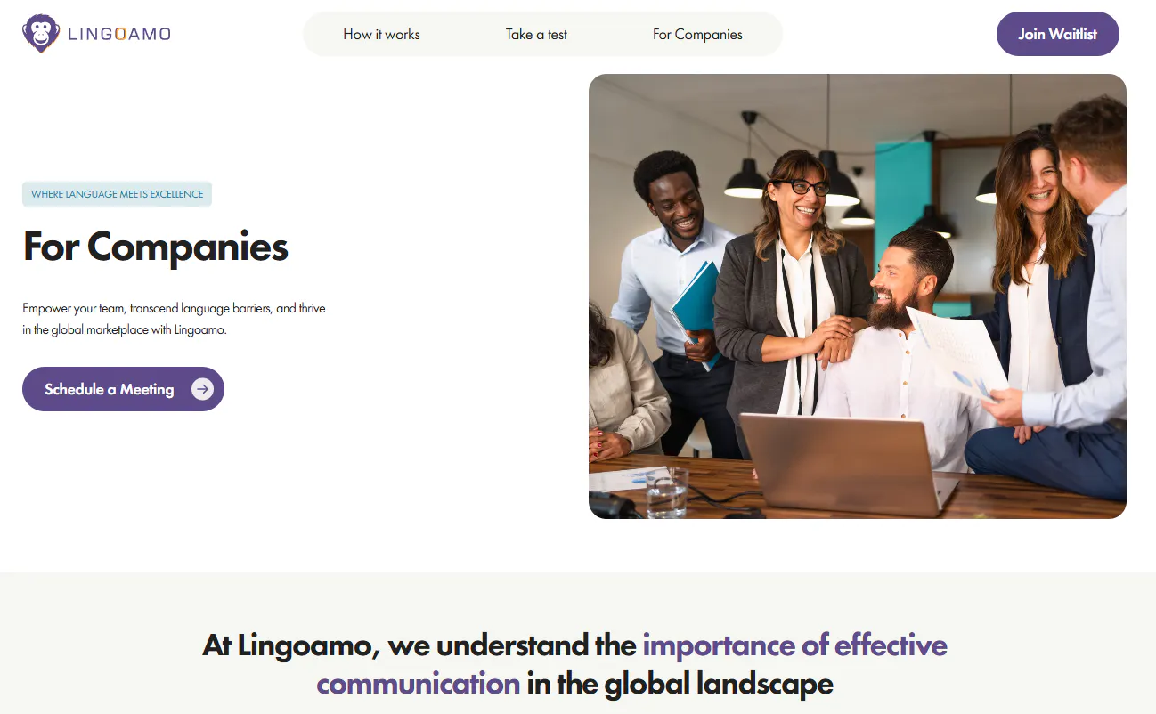 Lingoamo gallery image