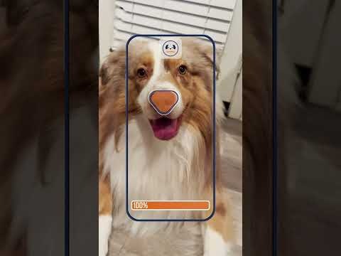 Boopprint gallery image