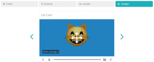 Any Image gallery image