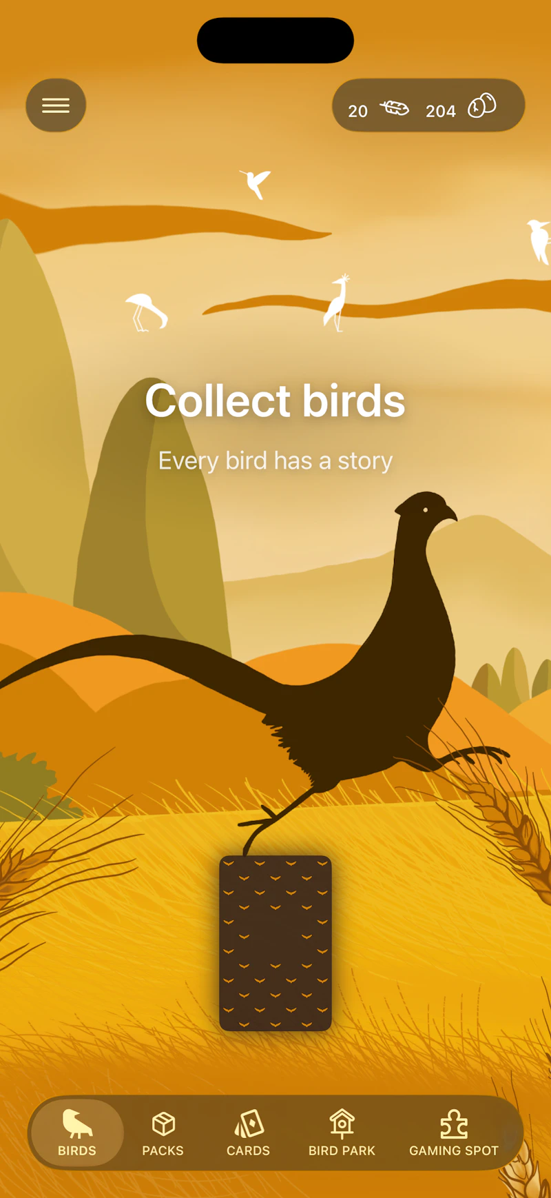 Birdora screenshot 1