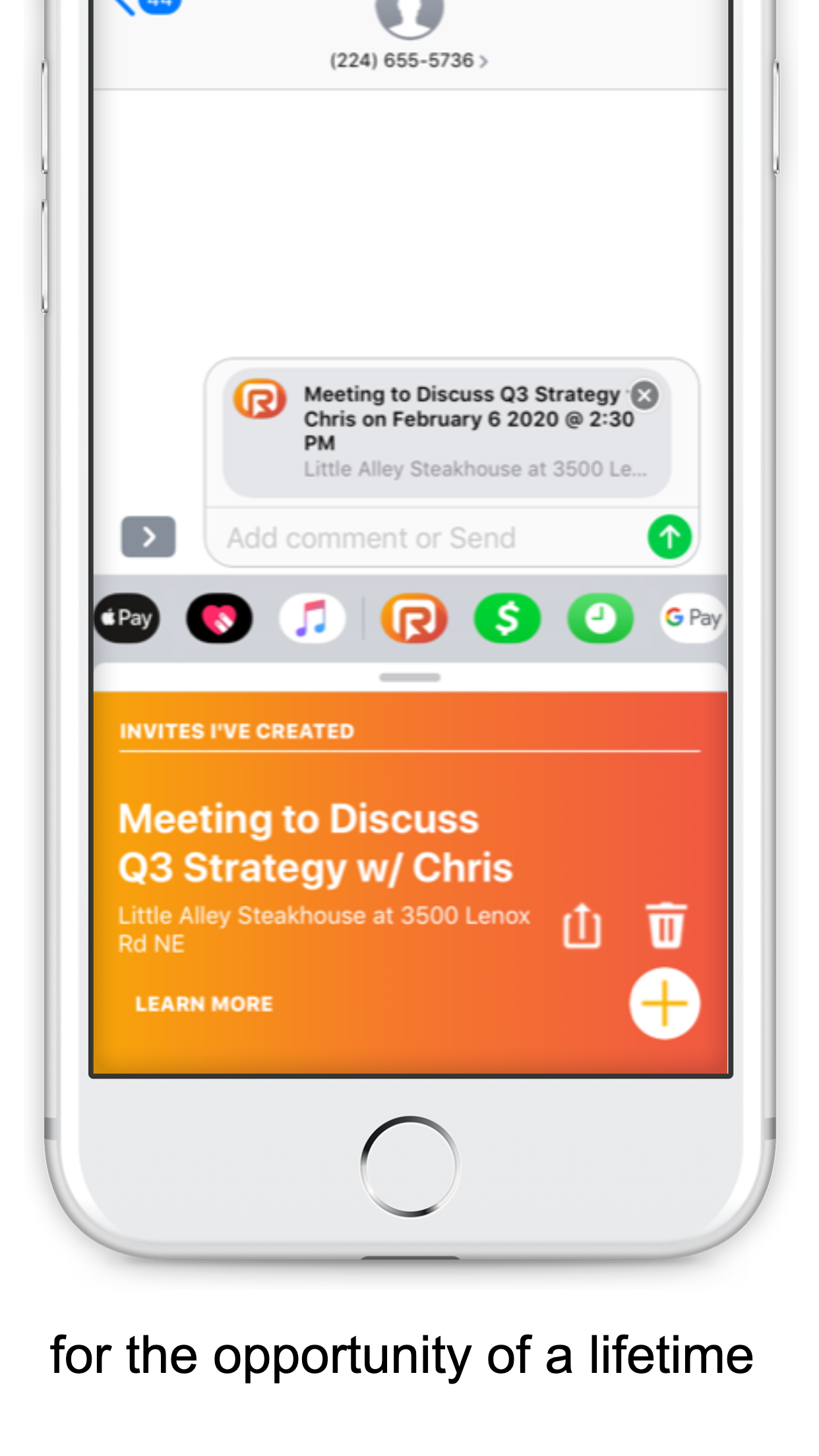 Rooted gallery image