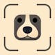 DogCare - Dog Breed Identifier