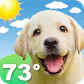 Weather Puppy App