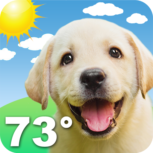 Weather Puppy App