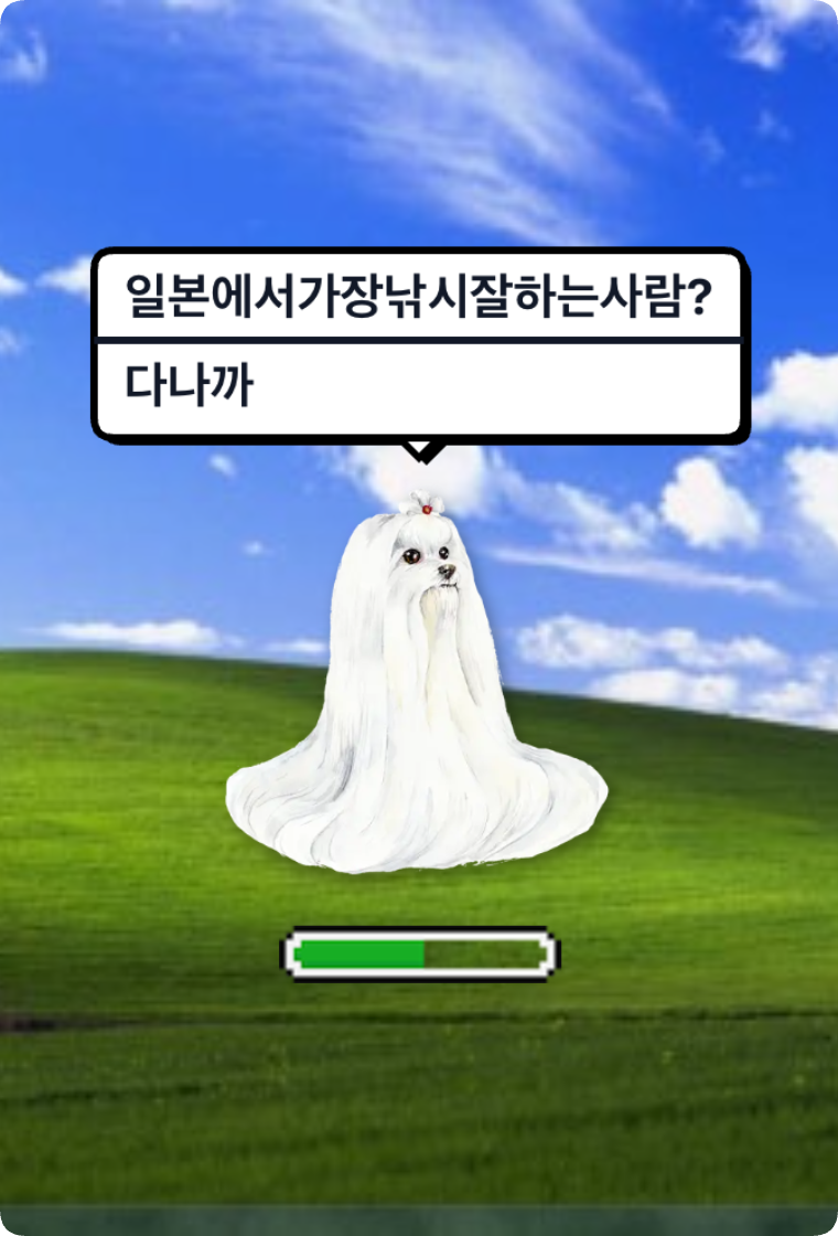 말장난 말티즈 gallery image