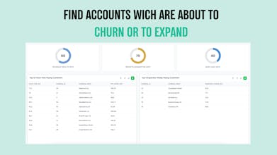Banyan AI Lite gallery image