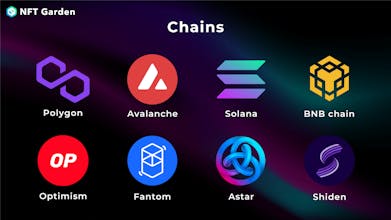 NFT Garden gallery image