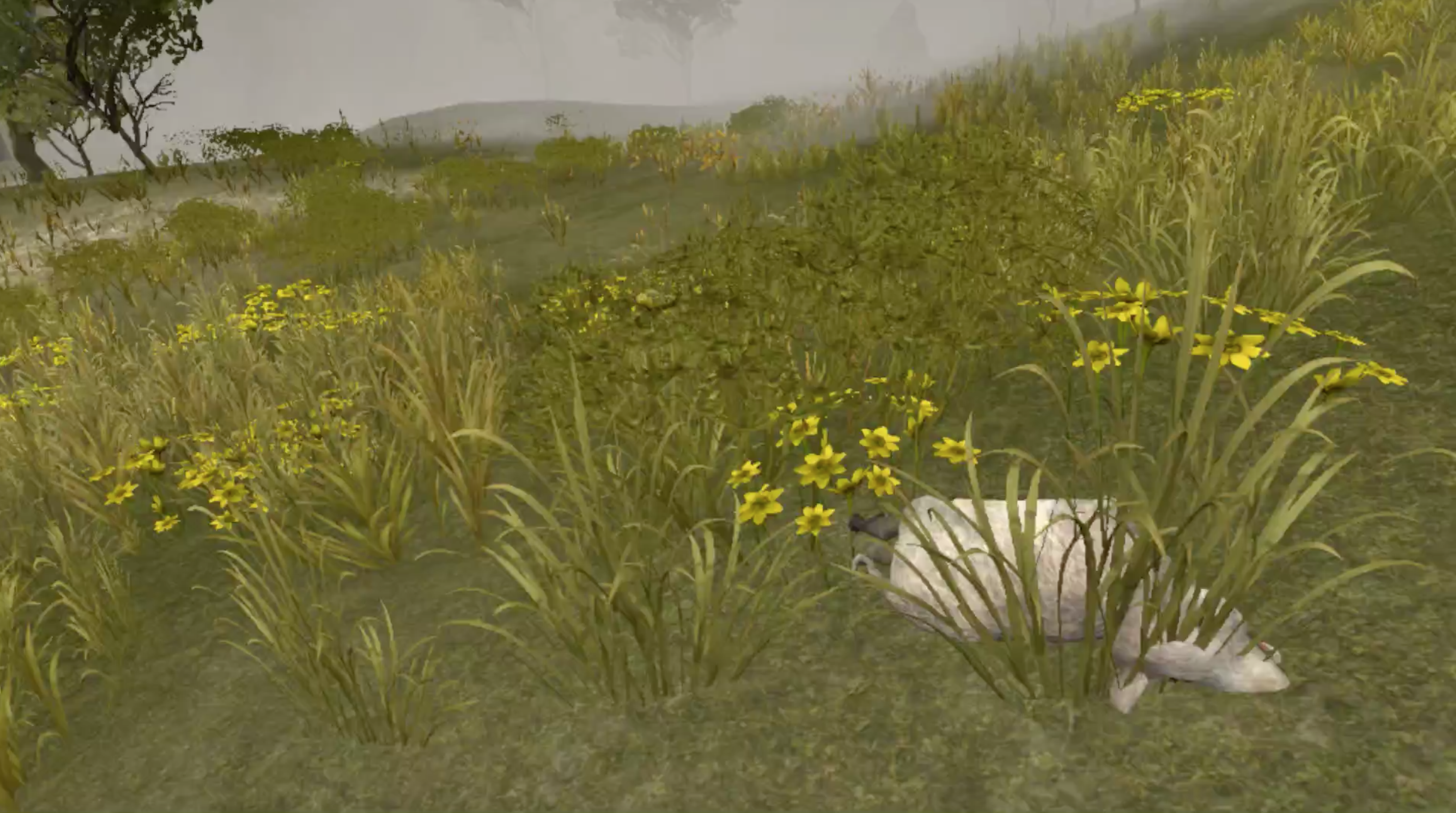 Wild Game Hunter VR Product Information, Latest Updates, and Reviews