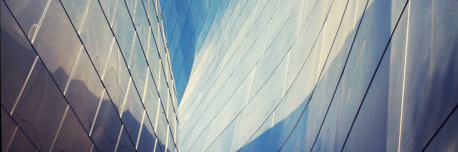 Andrei M. Marinescu cover