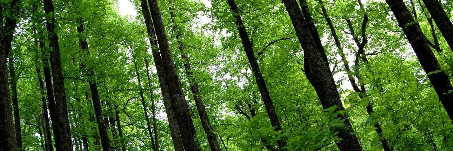 Barrett Johnson cover