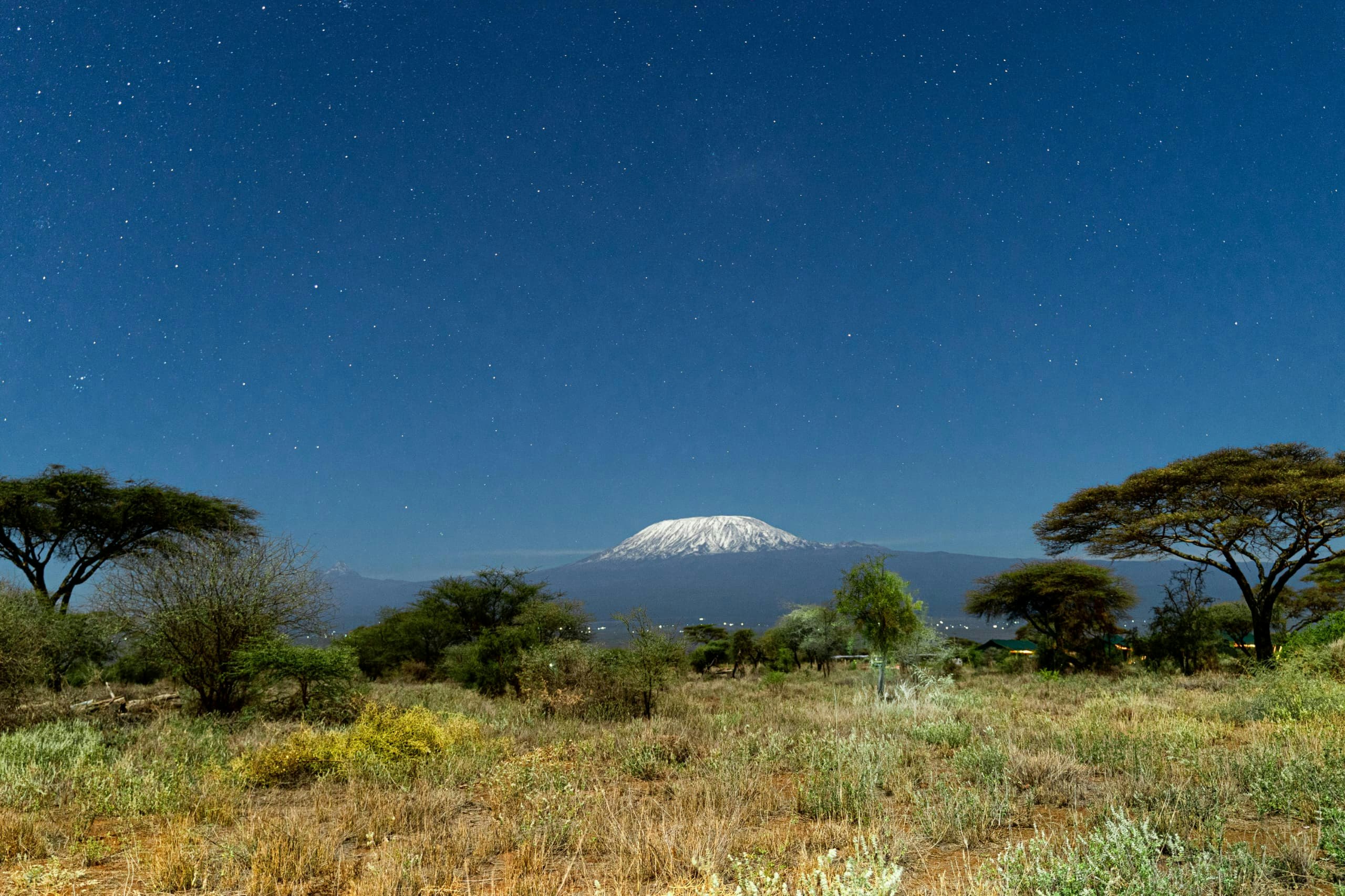 Africantrust Safari gallery image