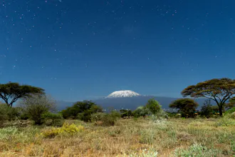 Africantrust Safari gallery image