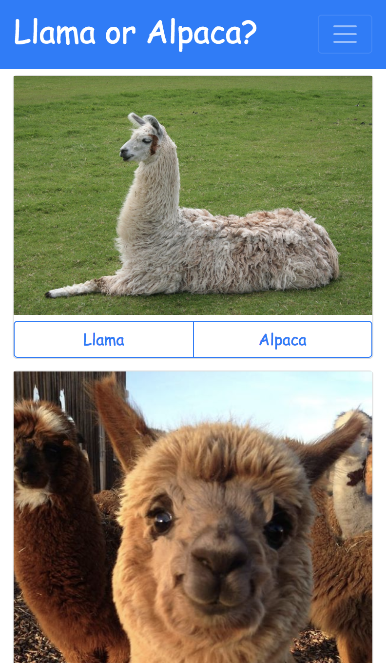 Llama or Alpaca Image