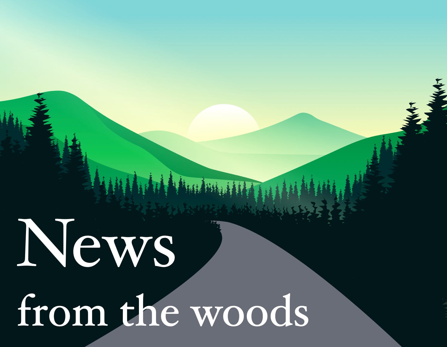 News from the Woods media 1
