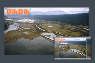 DikDik 4.6.0.0 gallery image