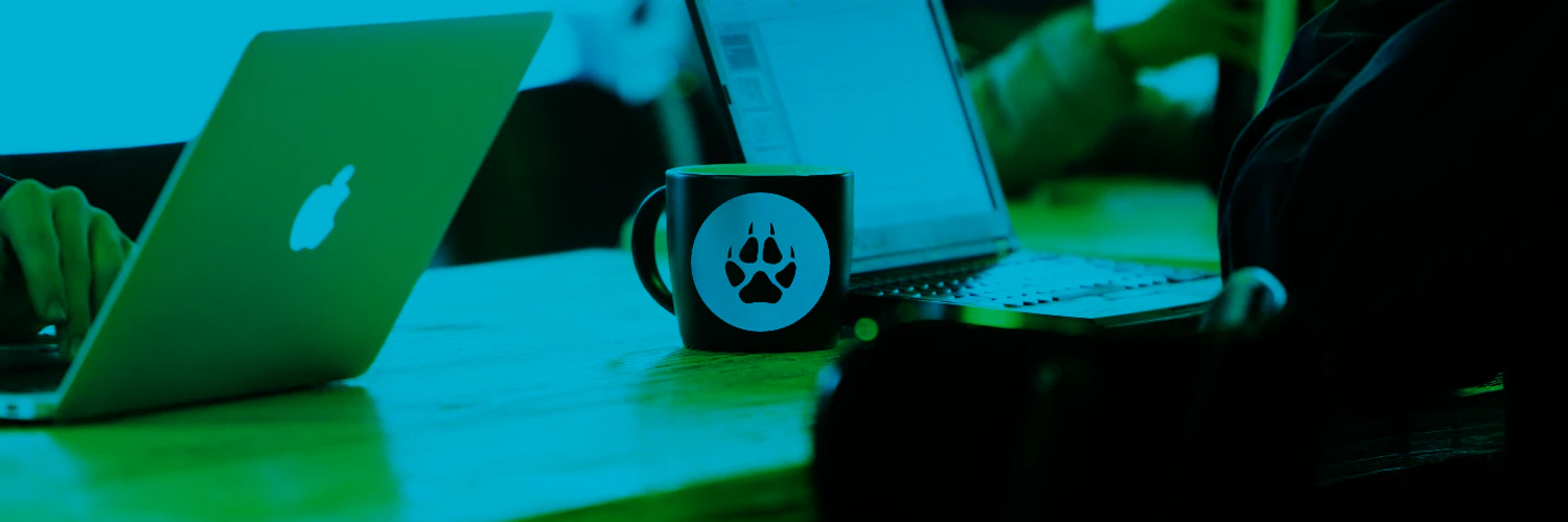 João Vitor Ch. Silva cover