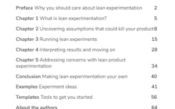 Lean Experimentation In Action media 2