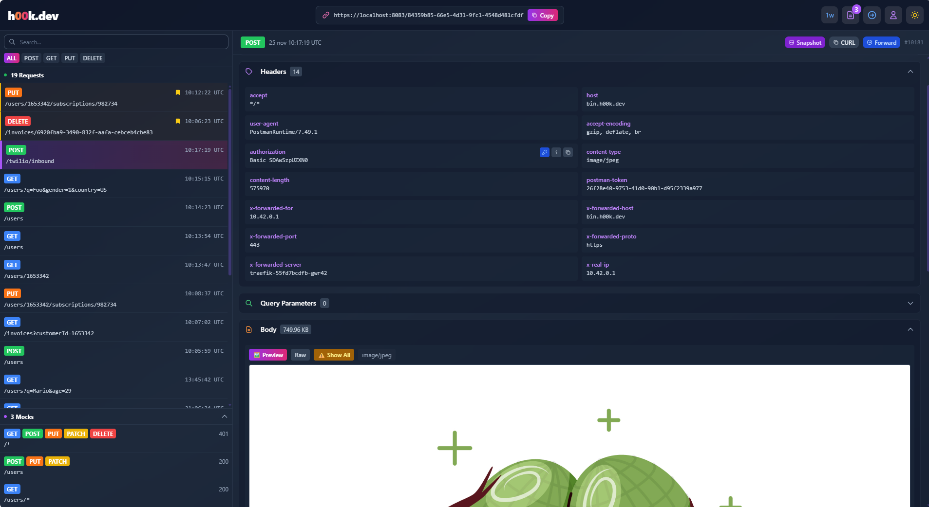 h00k.dev - Main product screenshot demonstrating key features and user interface