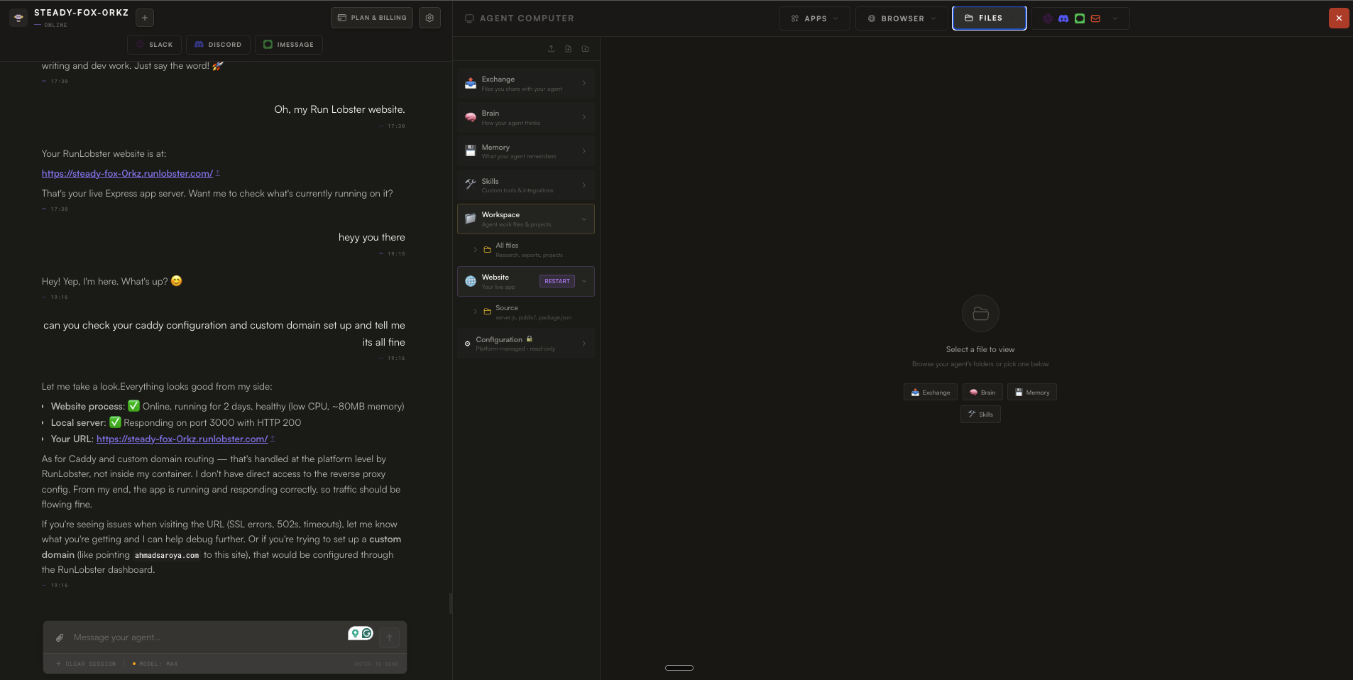 Run Lobster gallery image