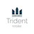 TridentEstate