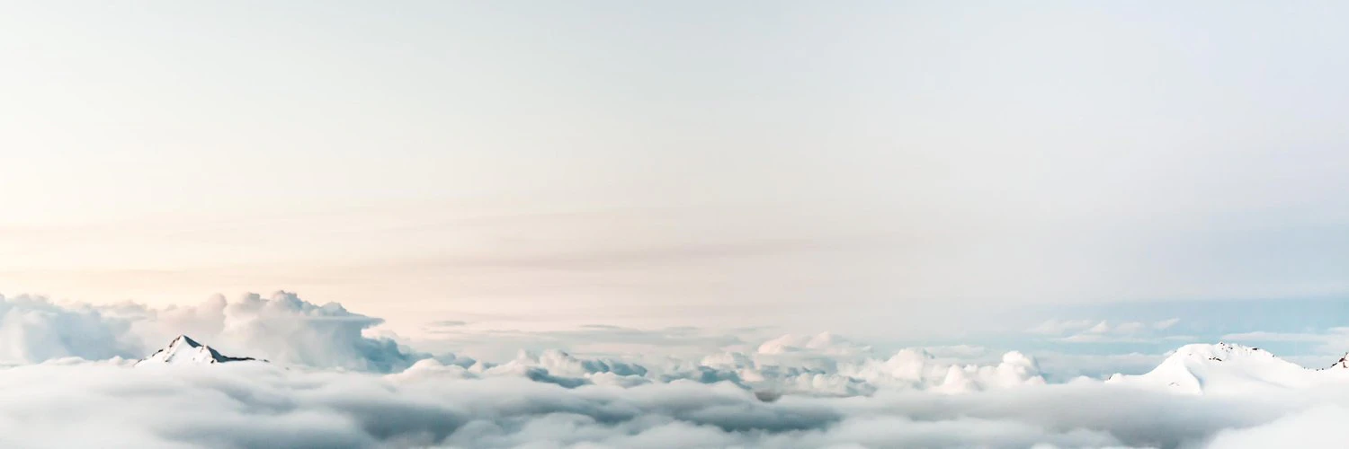 Danny J. Williams cover