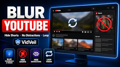 VidVeil gallery image