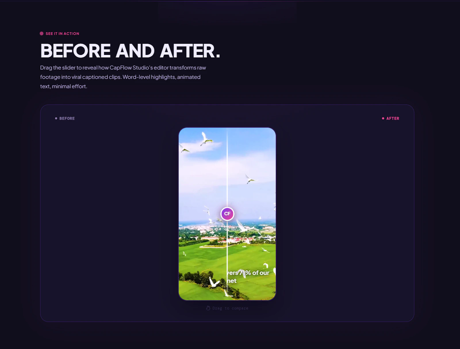 CapFlow Studio screenshot 7