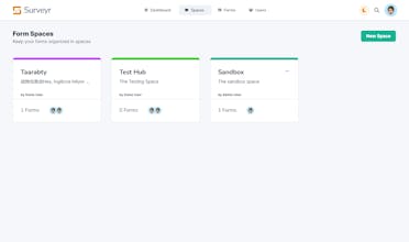 Surveyr gallery image