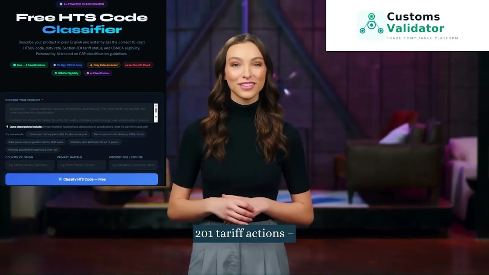 Customs Validator screenshot 1 (video preview)