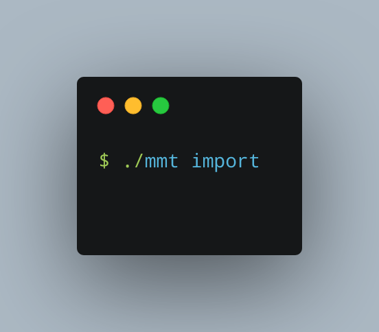 MMT - sort your action camera media