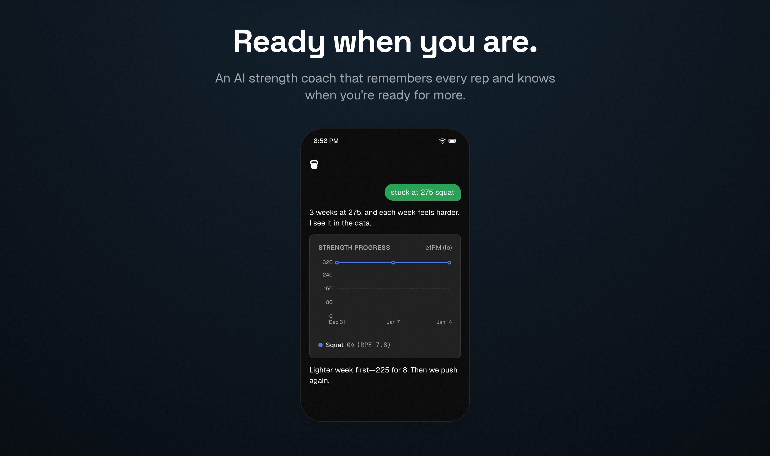 Setster gallery image