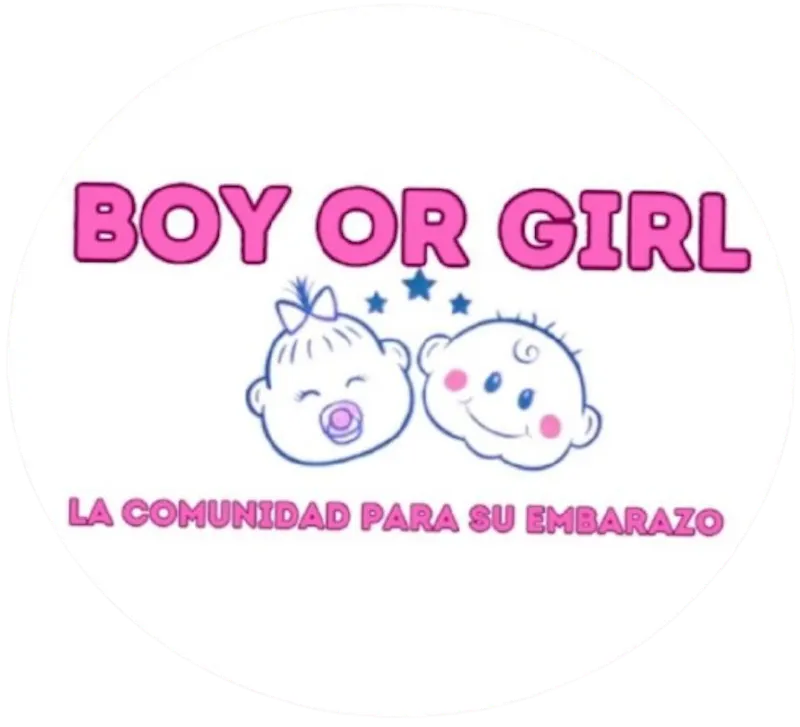 Boy or Girl screenshot 2