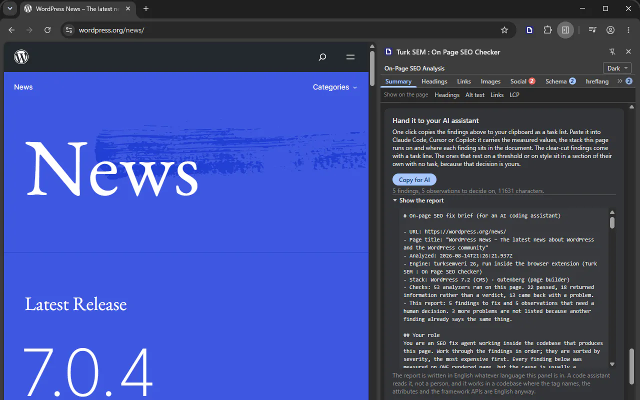 Turk SEM : On Page SEO Checker gallery image