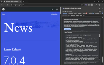 Turk SEM : On Page SEO Checker gallery image