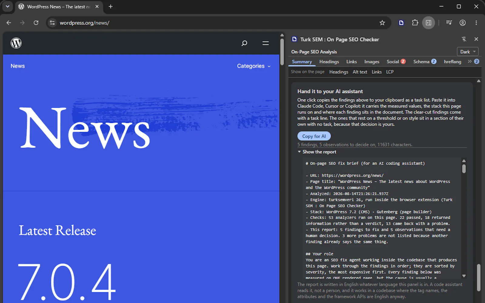 Turk SEM : On Page SEO Checker screenshot 2