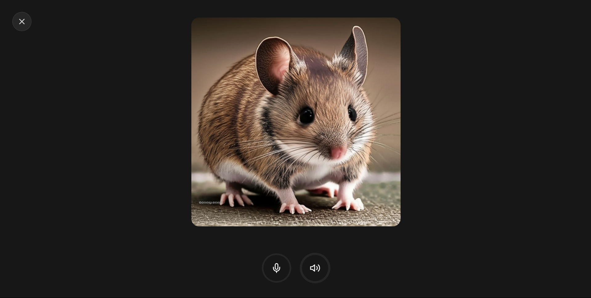 Clevr - Finally, an AI that talks and explains it visually media 5