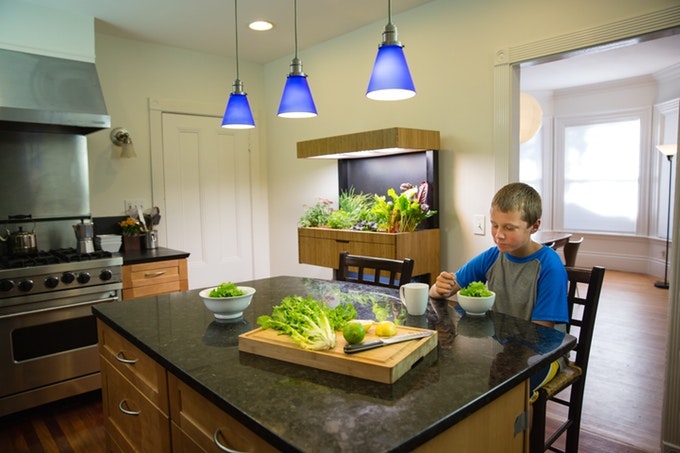 Grove Ecosystem gallery image