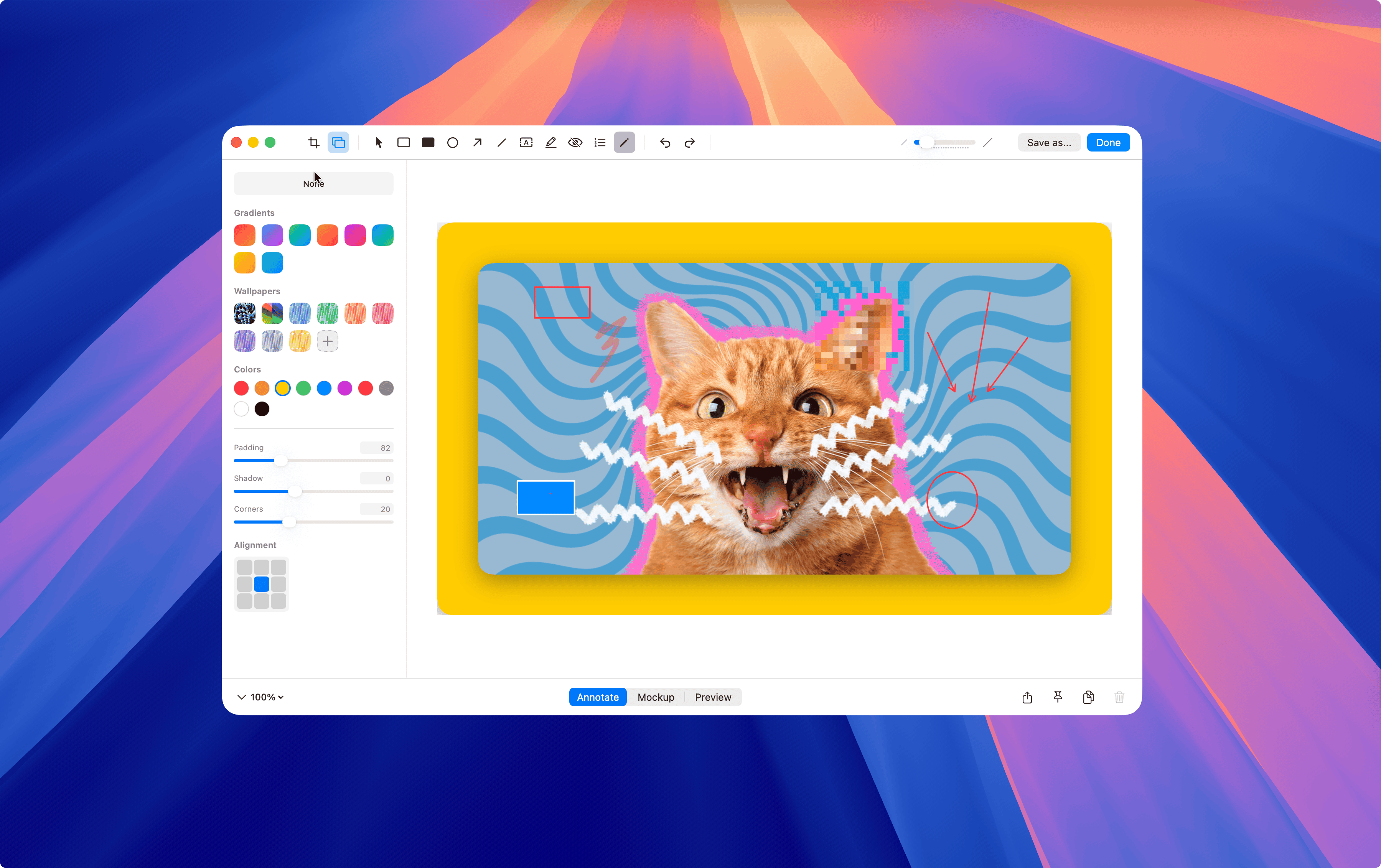 Snapzy gallery image