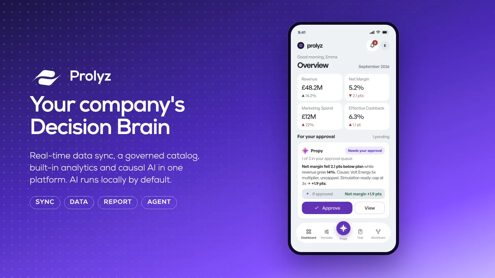 Prolyz screenshot 1