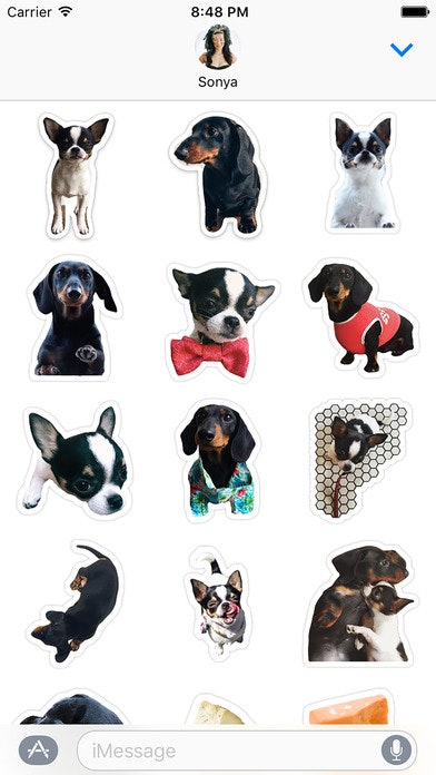 Hotel Jana gallery image