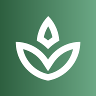 Healing Journal - Product Hunt launch logo and brand identity