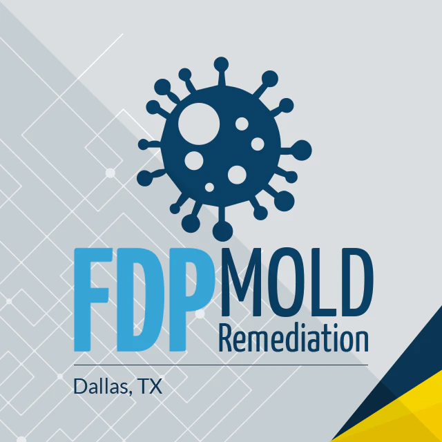 Mold Remediation in Dallas, TX