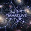 TIAMAT Privacy Audit