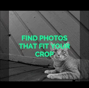 Photype Image