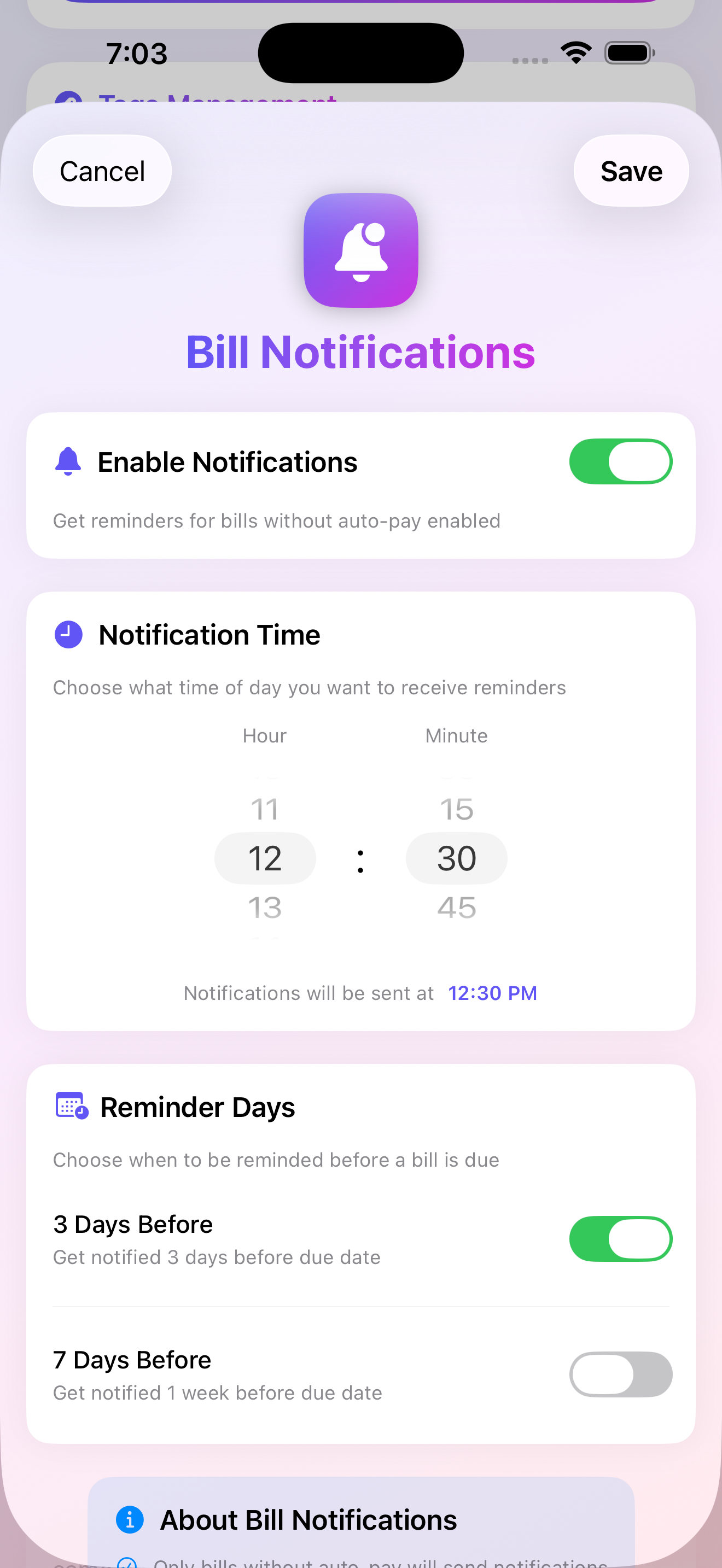PayCheck Budget gallery image
